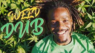 WEED DUB mix  NEW DUB REGGAE MIX  best dub reggae mix 2025