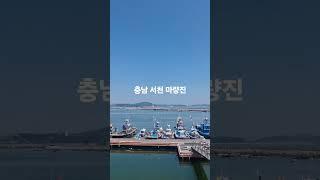 #fishing #태안 #낚시 #서해원투낚시 #여행 #바다 #캠핑 #원투낚시 #원투 #서천#마량#당진#