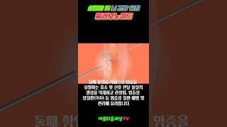 항산화, 항염증, 심혈관 및 뇌 건강 유지 플라보노이드 #뇌건강, #뇌혈류개선, #기억력개선