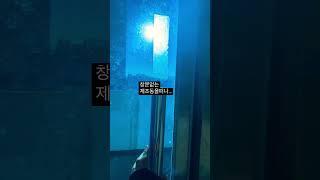검단 출근 일상 집에 가고싶어요.. 이렇게라도 광합성 #검단 #공장 #중소기업 #퇴근하고싶다#퇴근시켜주세요#중소기업브이로그 #공장브이로그
