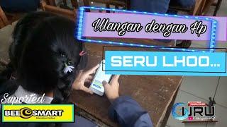 ULANGAN/UJIAN DENGAN HP, MUDAH DAN SIMPLE