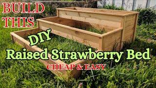 DIY Tiered Raised Garden Bed for Strawberries | Low Cost & Easy