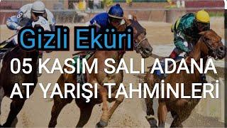 05 KASIM 2024 SALI ADANA AT YARIŞI TAHMİNLERİ GİZLİ EKÜRİ KANALİMİZDA