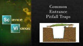 Common Entrance Pitfall traps