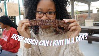 How Much Can I Knit In A Day? | Knit With Me Ep. 10