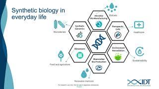 Enabling synthetic biology with high-quality DNA