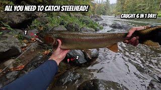 The Secret to Have an INSANE Day of Steelhead Fishing on the River!