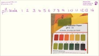 Acid and alkali ions, the neutralization equation and the pH scale