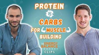 Optimal Protein Intake For Building Muscle