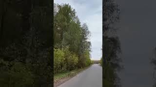 Вот и осень и дождь в окно стучится