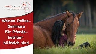 Warum Onlineseminare für Pferdebesitzer sehr hilfreich sind :)