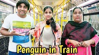 Penguin in Train   | comedy video | funny video | Prabhu Sarala lifestyle