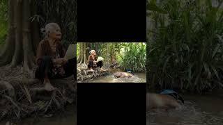 Bà và Capybara | Bà cùng Capy ra suối tránh nóng... #capybara #funny #ytshorts #shorts #fyp #xuhuong