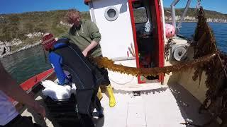 Seaweed Harvesting on Rathlin Island