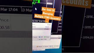 Gold MT4 Expert Advisor Automated Trading with Trailing Stop Loss. $230 in profits! #passiveincome