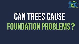 Can Trees Affect Home Foundation - Foundation Engineer Dallas Fort Worth Arlington