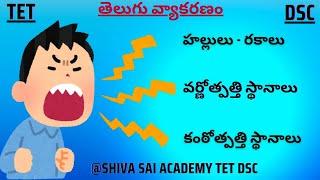 TS/AP TET DSC|TELUGU GRAMMAR|హల్లులు-రకాలు, వర్ణోత్పత్తి స్థానాలు& కంఠోత్పత్తి స్థానాలు|