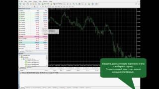 Как открыть Демо-счет на торговой платформе MetaTrader4 | IFC Markets