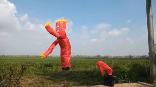 Wacky Waving Inflatable Arm Flailing Tube Man - I Love It