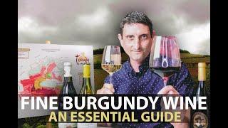 10-Minute Guide to Burgundy | Fine Wines from Bourgogne Part.#1