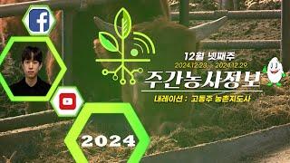 [ 주간농사정보 ] 12월 넷째주 (2024. 12. 23. ~ 12. 29.)