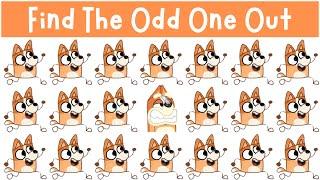 Find The Odd One Out: ALL BINGO Puzzles