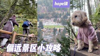 回程hiking 登高望hope镇全貌 皮皮表现出色 无市政景区小攻略 山里木屋过圣诞（5） 【Garden Time 田园生活分享】2024 12