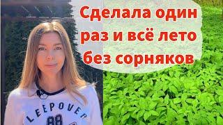 КАК ИЗБАВИТЬСЯ ОТ САМЫХ ЗЛОСТНЫХ СОРНЯКОВ БЕЗ ПЕРЕКОПКИ И ПРОПОЛКИ. Сделала и забыла про сорняки