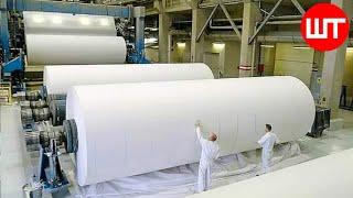 Ever Wondered How Paper is Made from Tree? Behind the Scenes of Paper Factory