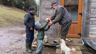 The Road to the Mountains for Milk. How Sheep Breeders Live in the Carpathians