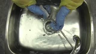 Rigid Endoscope Reprocessing - Cleaning & Rinsing