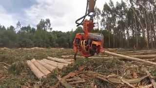 GUERRA - PROCESADOR IGSA 680A CAT 323E SA. HARVESTER GUERRA