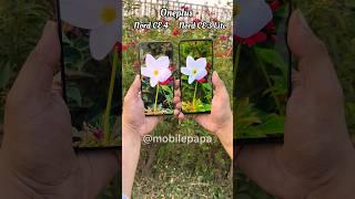 Oneplus Nord CE 4 vs Nord CE 3 Lite Camera Test  #shorts #oneplusnordce4 #oneplusnordce3lite