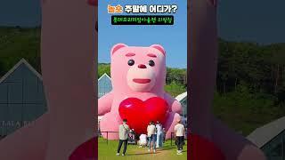 롯데프리미엄아울렛의왕점벨리곰팝업#데이트 #소풍 #팝업