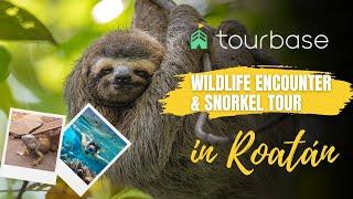 Roatan Tourbase - Wildlife Encounter & Snorkel Combo Tour