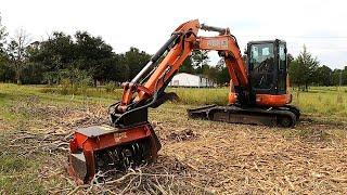 LANDSCAPING MANICURE OR MASSACRE! CREPE MYRTLES GOTTA GO!