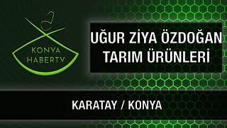 UĞUR ZİYA ÖZDOĞAN TARIM ÜRÜNLERİ - KARATAY/KONYA