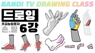 반디쌤과 함께하는 인체드로잉 6강 (손&발) How To Draw Figures / 사람그리는 법