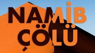 Namib Çölü | Namibya Günlükleri