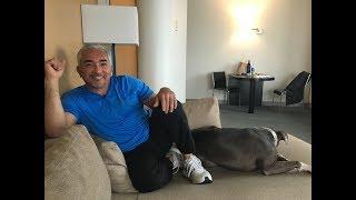 CESAR MILLAN - Fun, quirky, quick Q&A