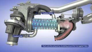 BorgWarner EGR System for Passenger Vehicle Applications