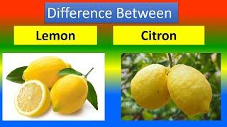 Difference Between Lemon and  Citron