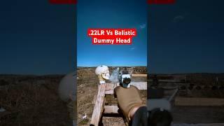 Is .22 LR Deadly? (Ballistic Dummy Test) #gun #civtac #handgun