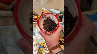 فال تاروت مرلین - حس قلبی امروز او به شما چیه؟