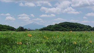 JAPAN Marsh BENSE MARSH