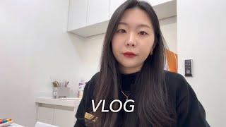 [르미VLOG]30대 직장인 육아 워킹맘 브이로그| 싱글맘 브이로그 메리크리스마스