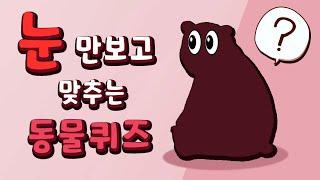 【퀴즈】 눈만 보고 어떤 동물인지 맞추기 | 모하나의 동물 퀴즈게임