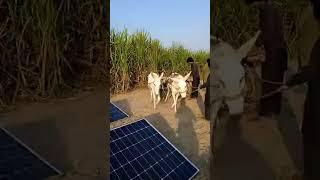 Farmar Tv is live Motor Solar