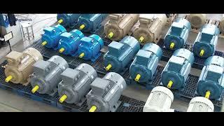 Longbank Motor-High Quality Motor Design and Mature Production Technology