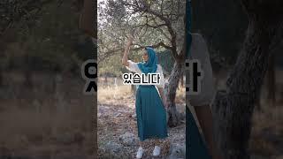 일본 후쿠오카 가볼만한 곳 TOP5